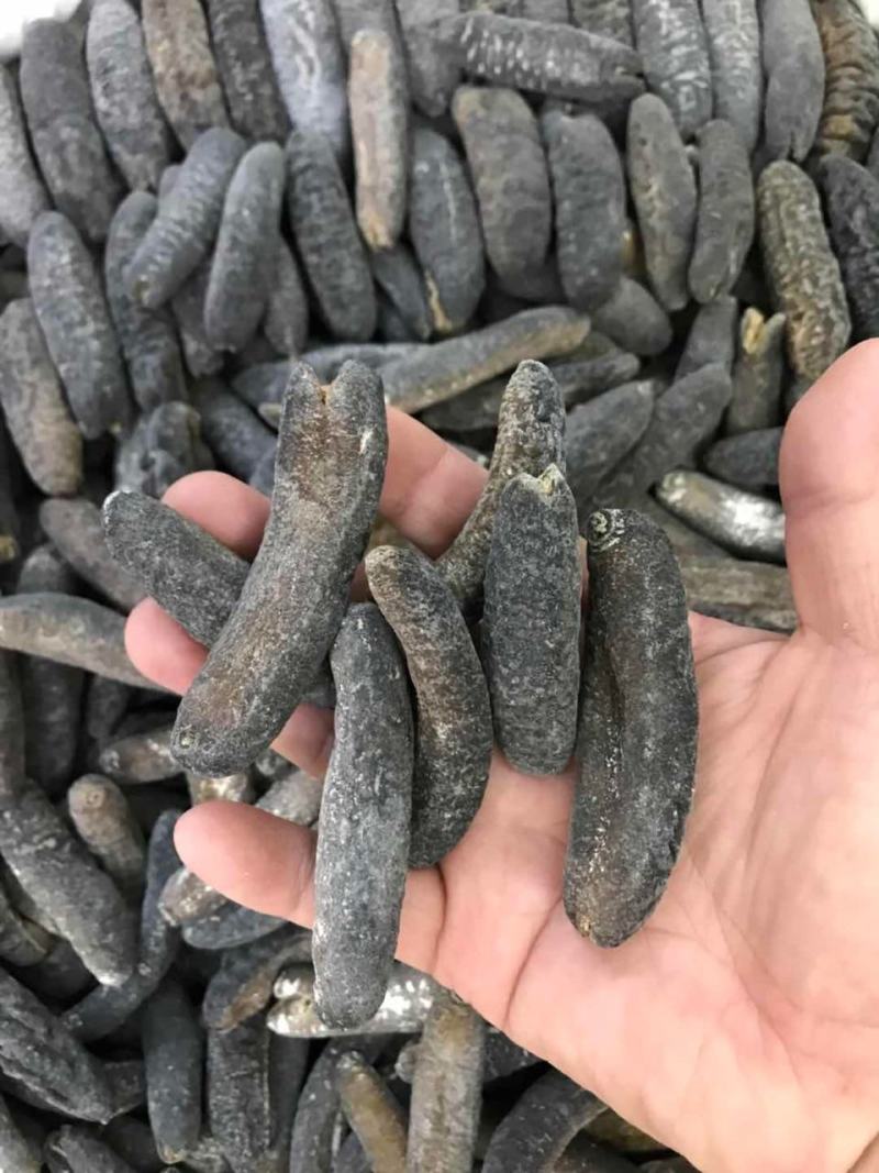 海参非洲秃参明秃海参深海水产干货肉质紧凑厚实有韧性营养高