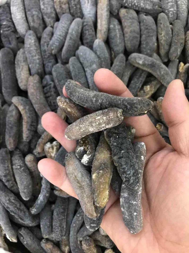 海参非洲秃参明秃海参深海水产干货肉质紧凑厚实有韧性营养高
