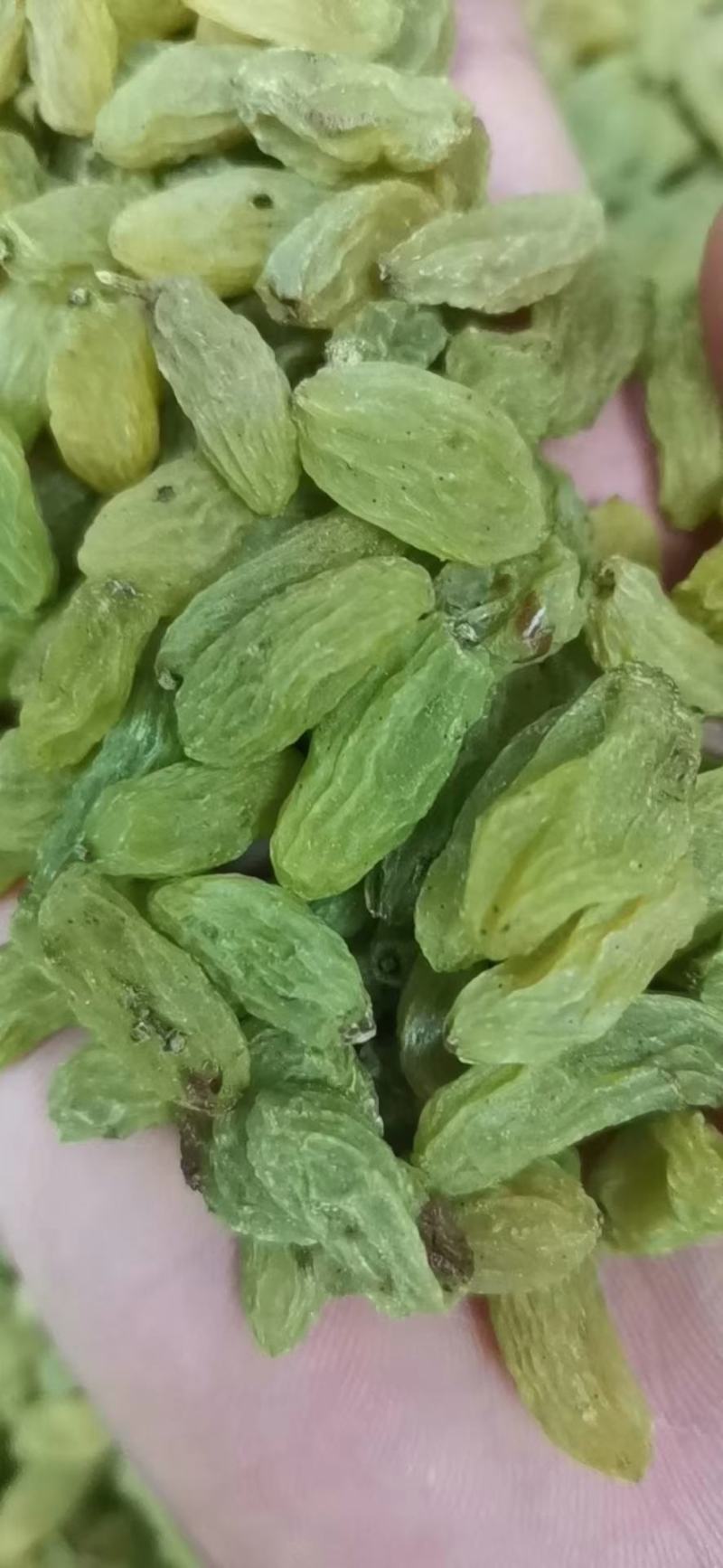 新货葡萄干！味道纯正！口感酸甜！