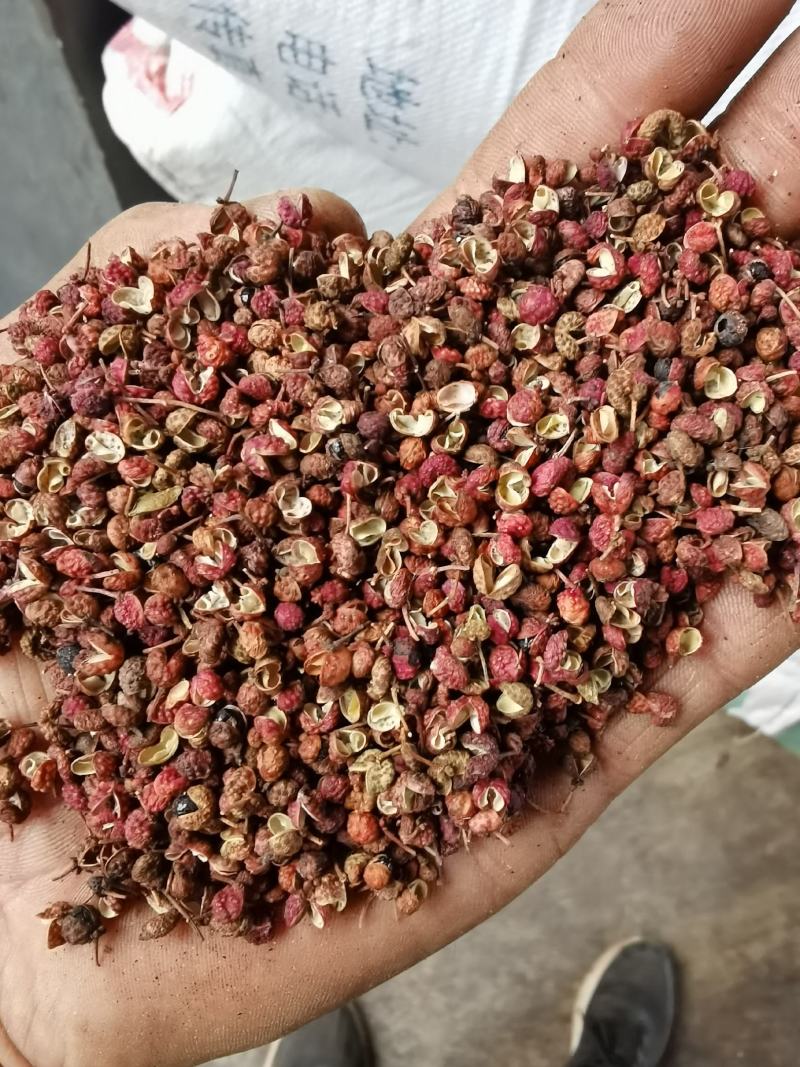 优质泡脚花椒，味道麻，颗粒大，价格实惠