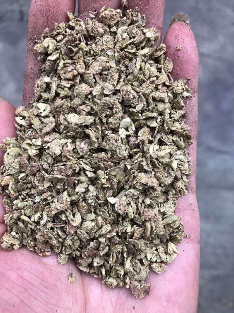 优质泡脚花椒，味道麻，颗粒大，价格实惠