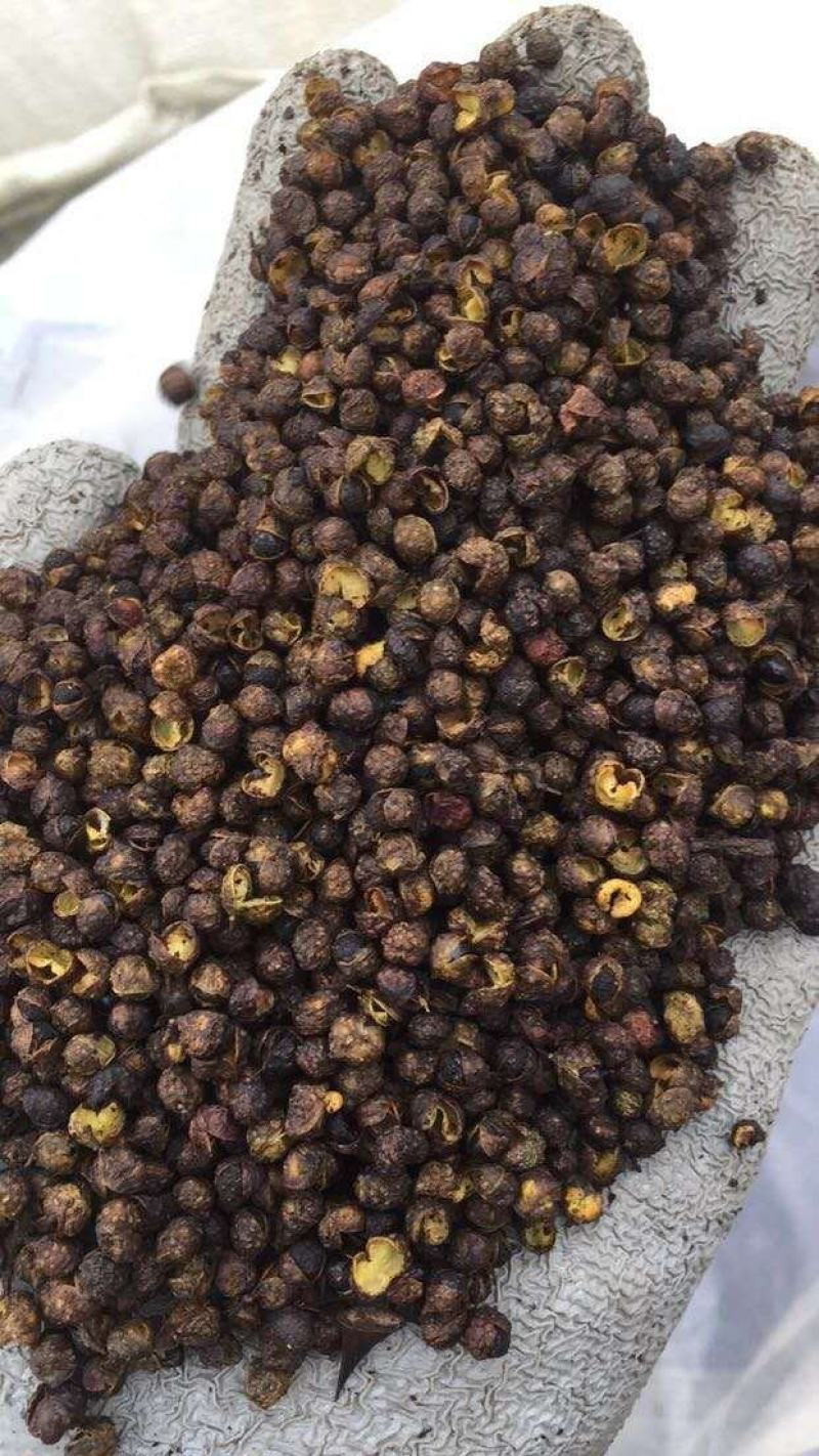优质泡脚花椒，味道麻，颗粒大，价格实惠