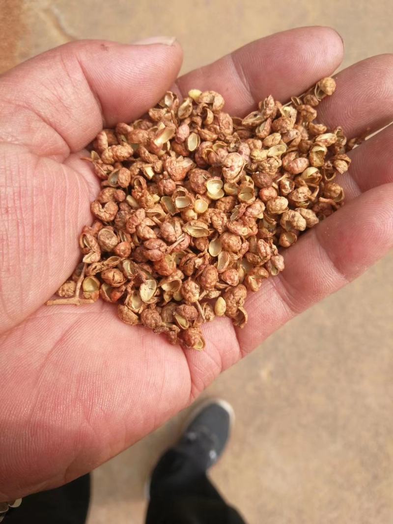 优质泡脚花椒，味道麻，颗粒大，价格实惠