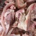 清真牛头肉整只新鲜冷冻全熟装牛肉熟食牛杂牛脸肉工厂直销