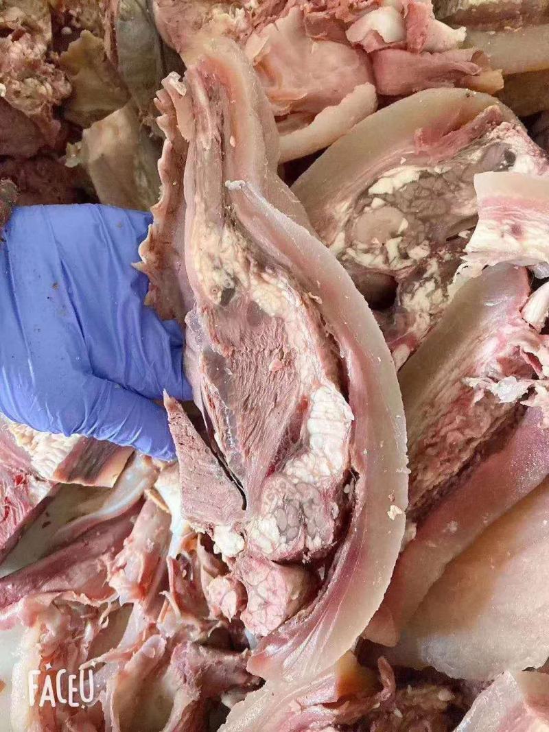 清真牛头肉整只新鲜冷冻全熟装牛肉熟食牛杂牛脸肉工厂直销