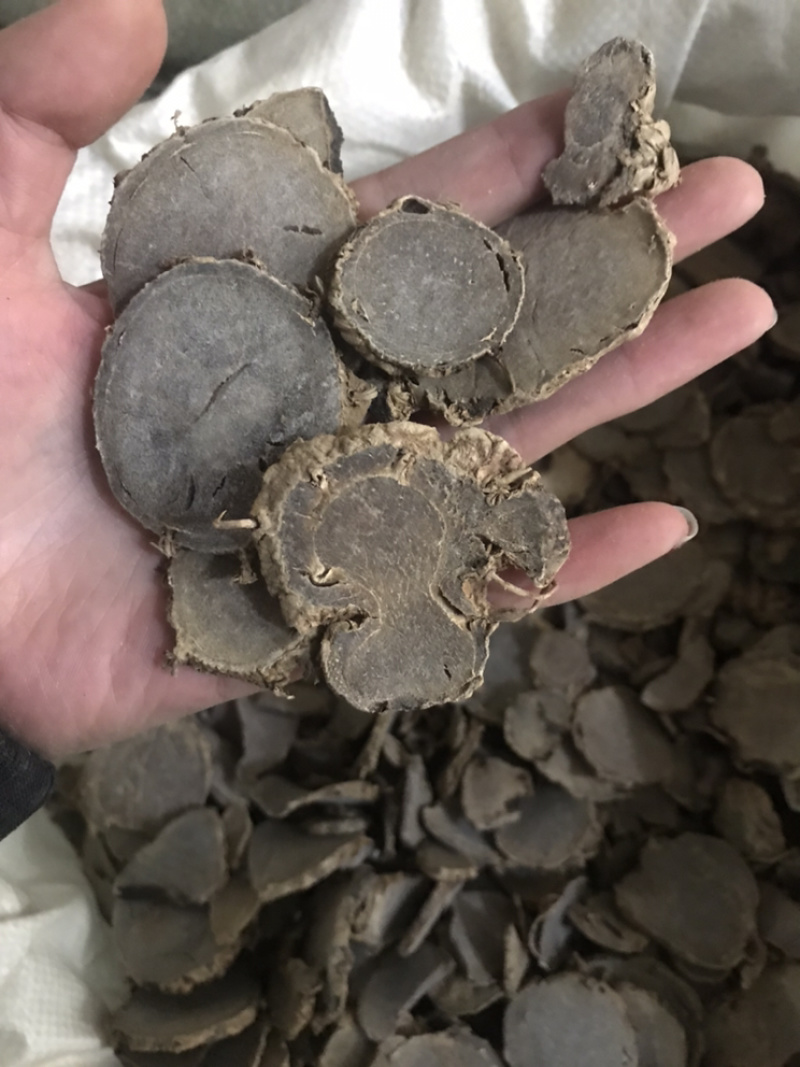 莪术文术保庆药业批发莪术实物拍摄