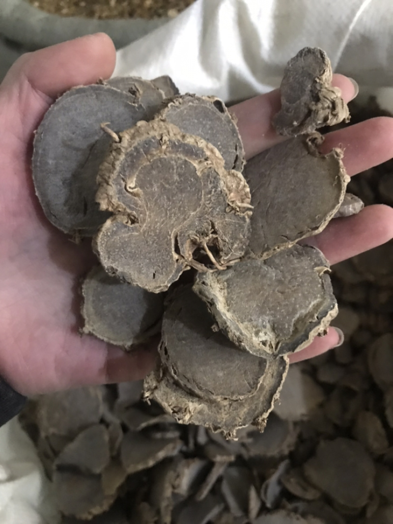 莪术文术保庆药业批发莪术实物拍摄