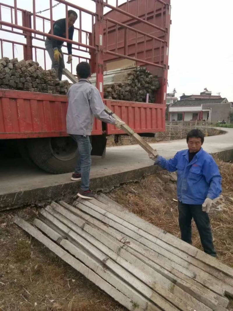 果园围栏水泥桩。可包送。使用期限可达30年。。