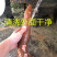 广西食用无毒面包木薯红皮白肉木薯糖水木薯五斤包邮多省