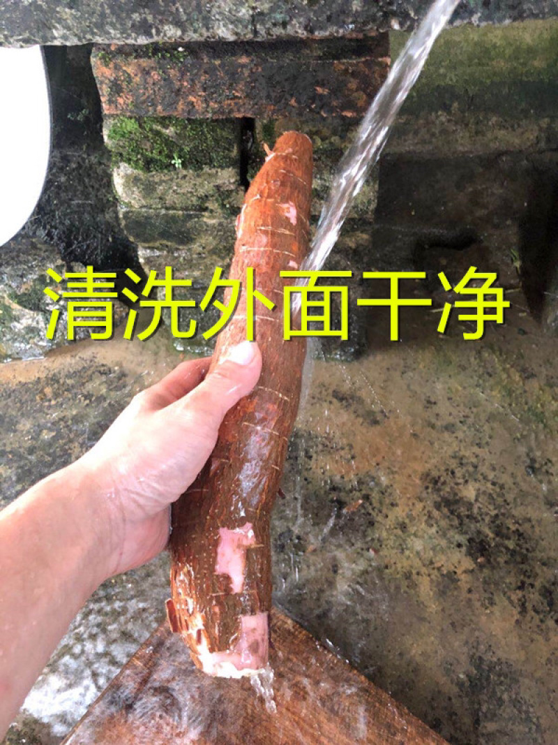 广西食用无毒面包木薯红皮白肉木薯糖水木薯五斤包邮多省