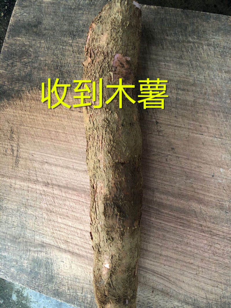 广西食用无毒面包木薯红皮白肉木薯糖水木薯五斤包邮多省