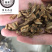 百部百步实物拍摄百部保庆药业批发百步