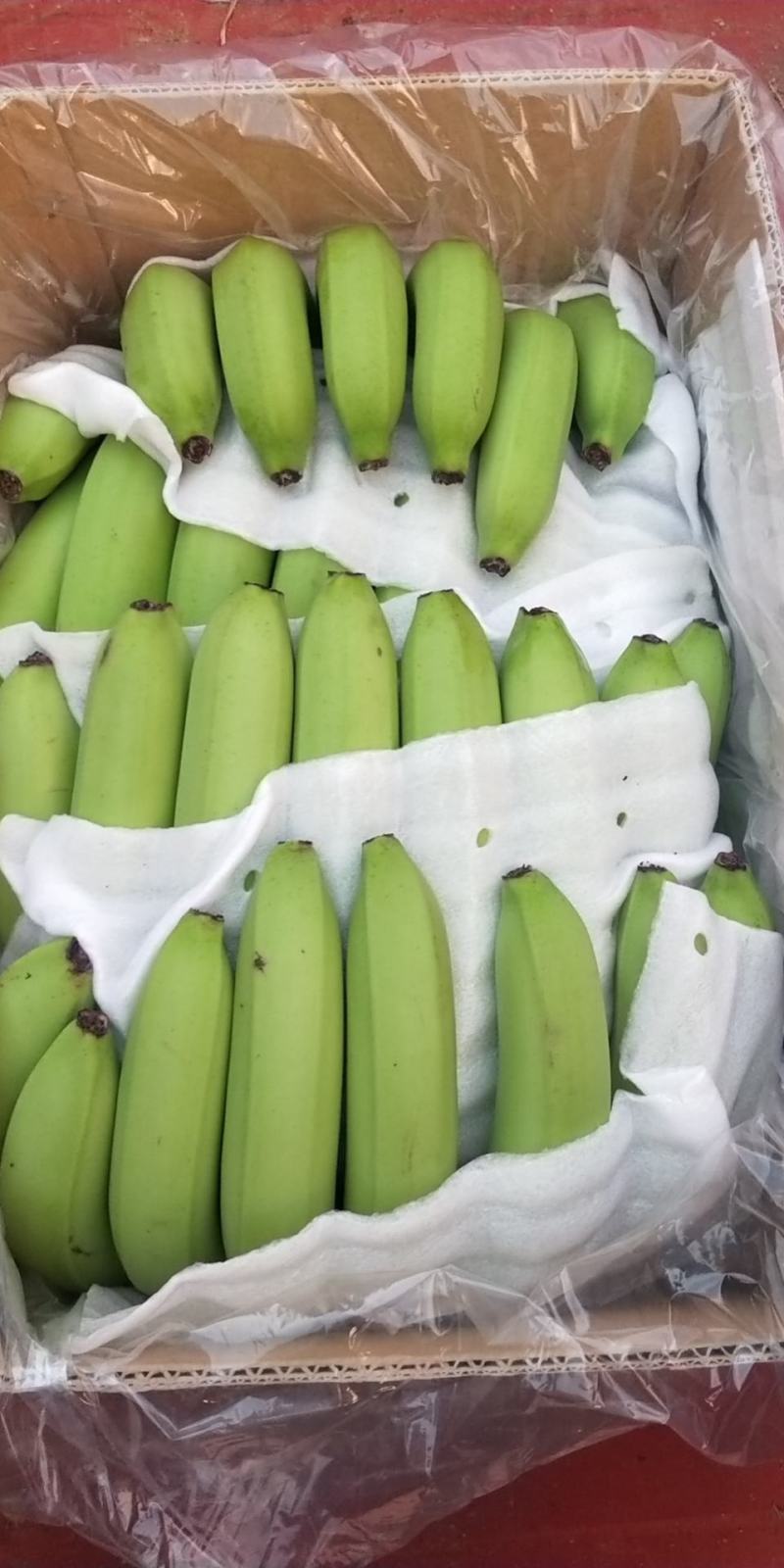 【精品香蕉】诚信香蕉代办价格实惠商超品质来电有优惠