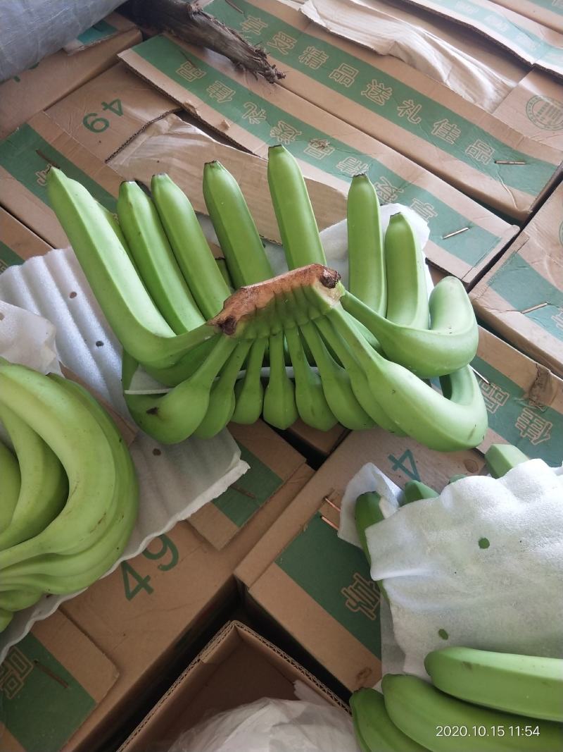 【精品香蕉】诚信香蕉代办价格实惠商超品质来电有优惠