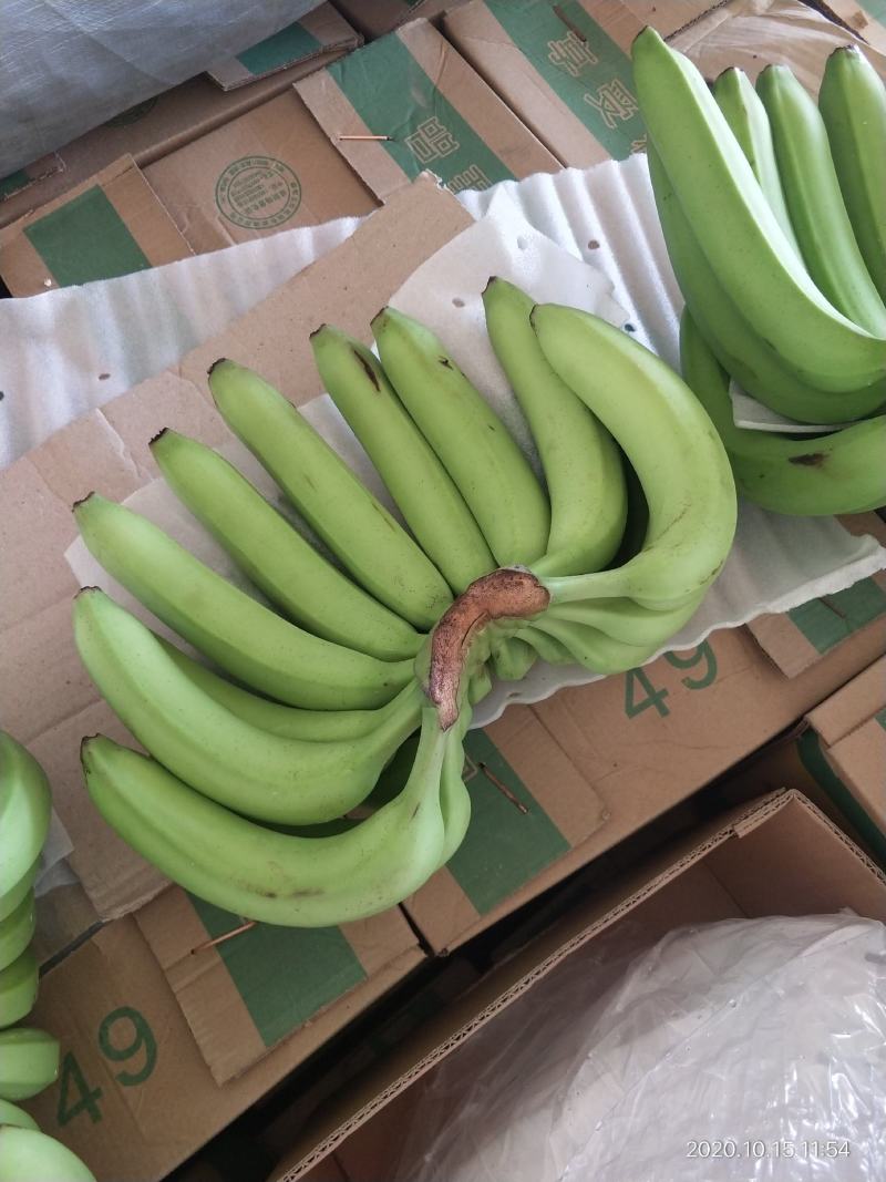 【精品香蕉】诚信香蕉代办价格实惠商超品质来电有优惠