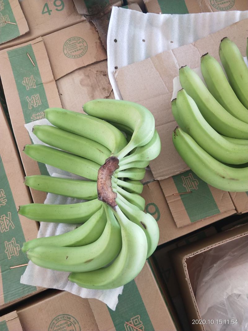 【精品香蕉】诚信香蕉代办价格实惠商超品质来电有优惠