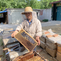 2023年太行山自家蜂场荆花蜜