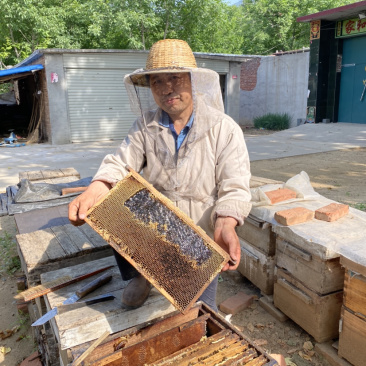 2023年太行山自家蜂场荆花蜜