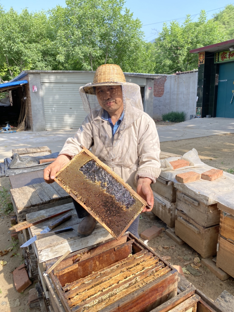 2023年太行山自家蜂场荆花蜜