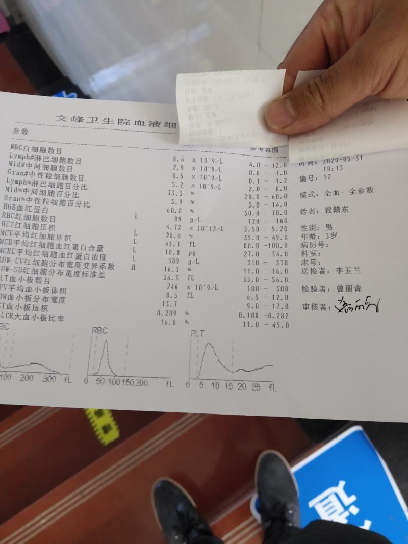 鲈鱼苗水花加州鲈鱼苗优鲈3号