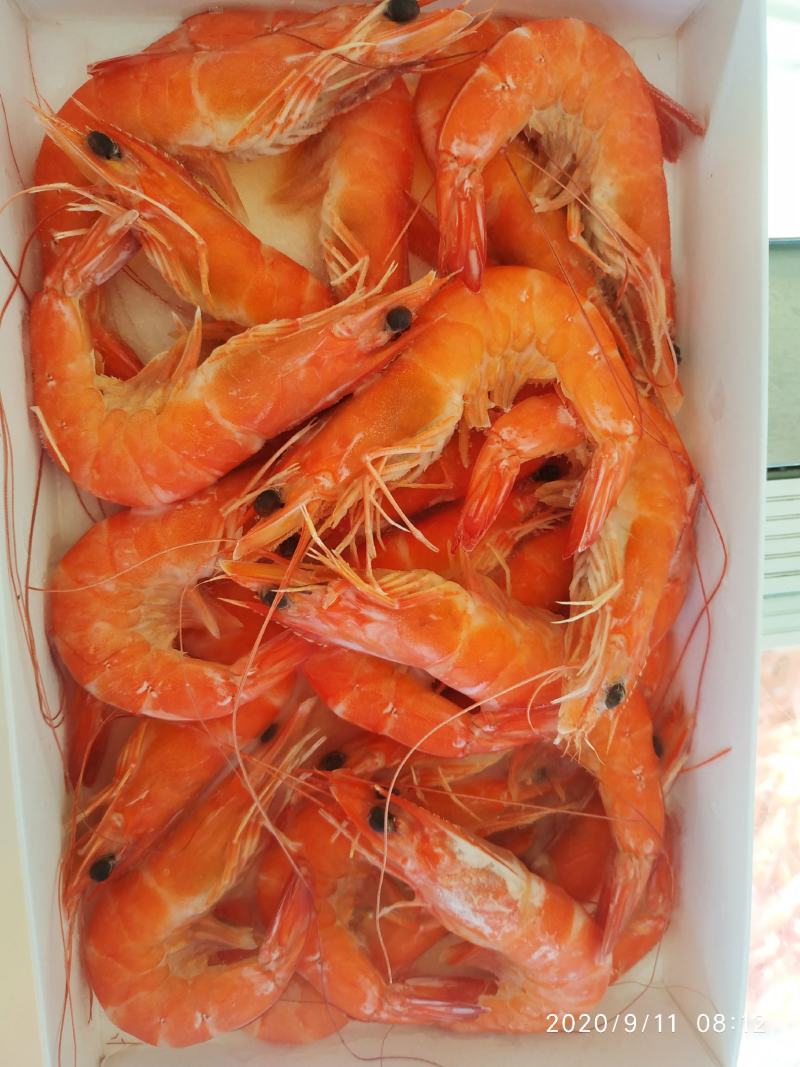 白灼虾酒店专用