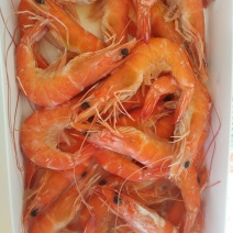 白灼虾酒店专用