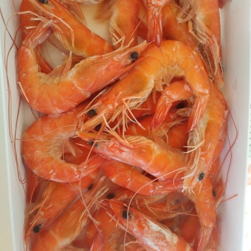 白灼虾酒店专用