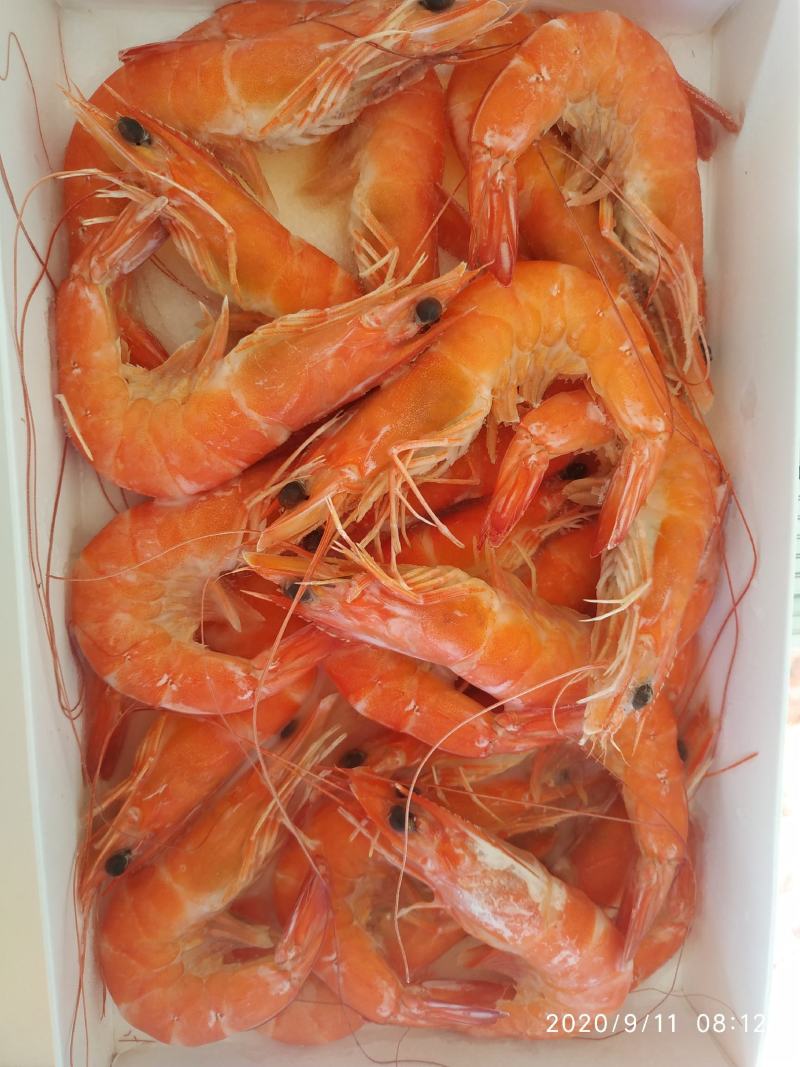 白灼虾酒店专用