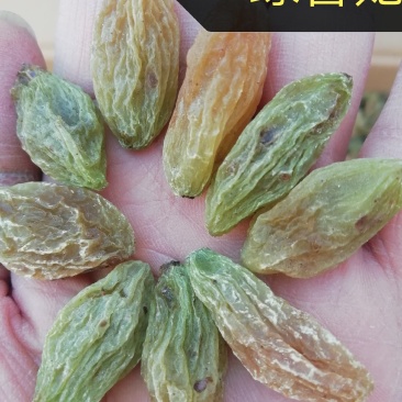 新疆吐鲁番葡萄干，一级绿香妃，2斤起发货，量多优惠多