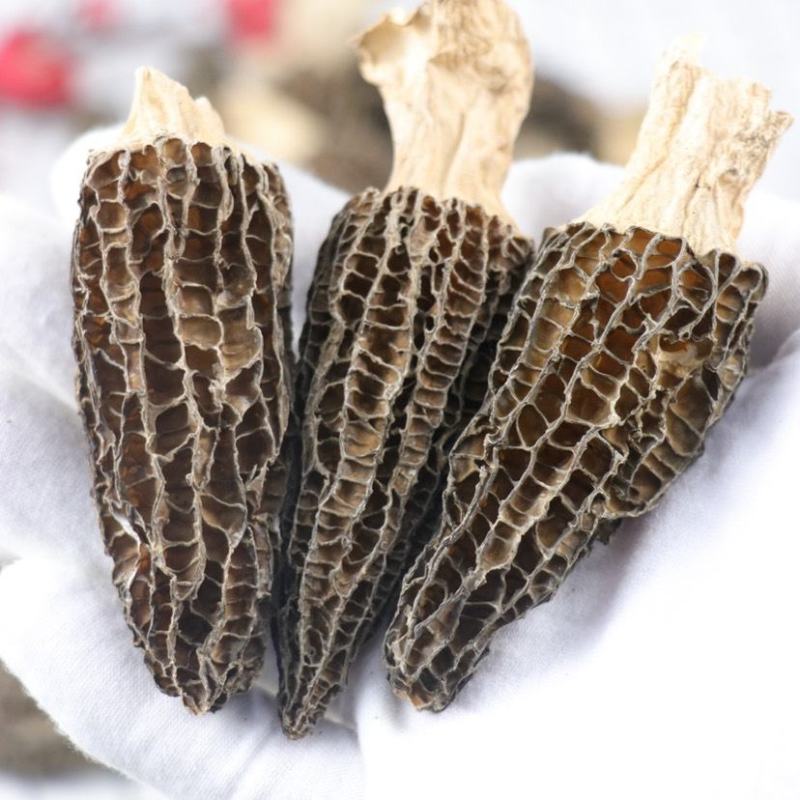大量羊肚菌干货6~8新鲜漂亮羊肚菌味道香个头均匀一件代发