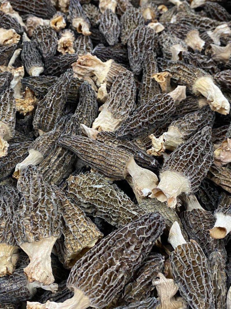 大量羊肚菌干货6~8新鲜漂亮羊肚菌味道香个头均匀一件代发