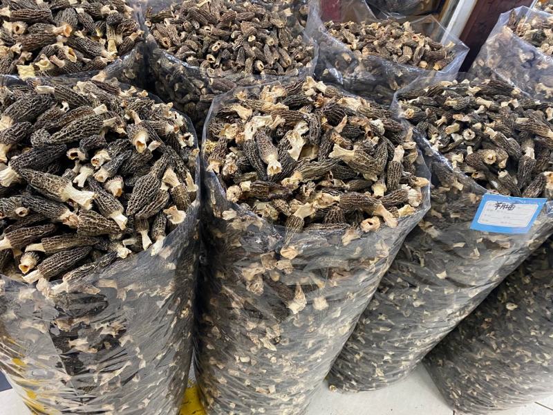 大量羊肚菌干货6~8新鲜漂亮羊肚菌味道香个头均匀一件代发