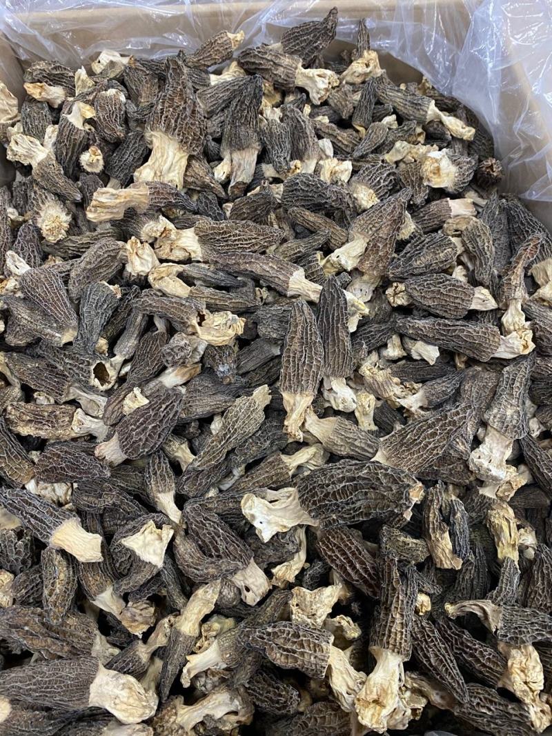 大量羊肚菌干货6~8新鲜漂亮羊肚菌味道香个头均匀一件代发