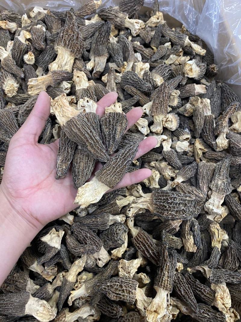 大量羊肚菌干货6~8新鲜漂亮羊肚菌味道香个头均匀一件代发