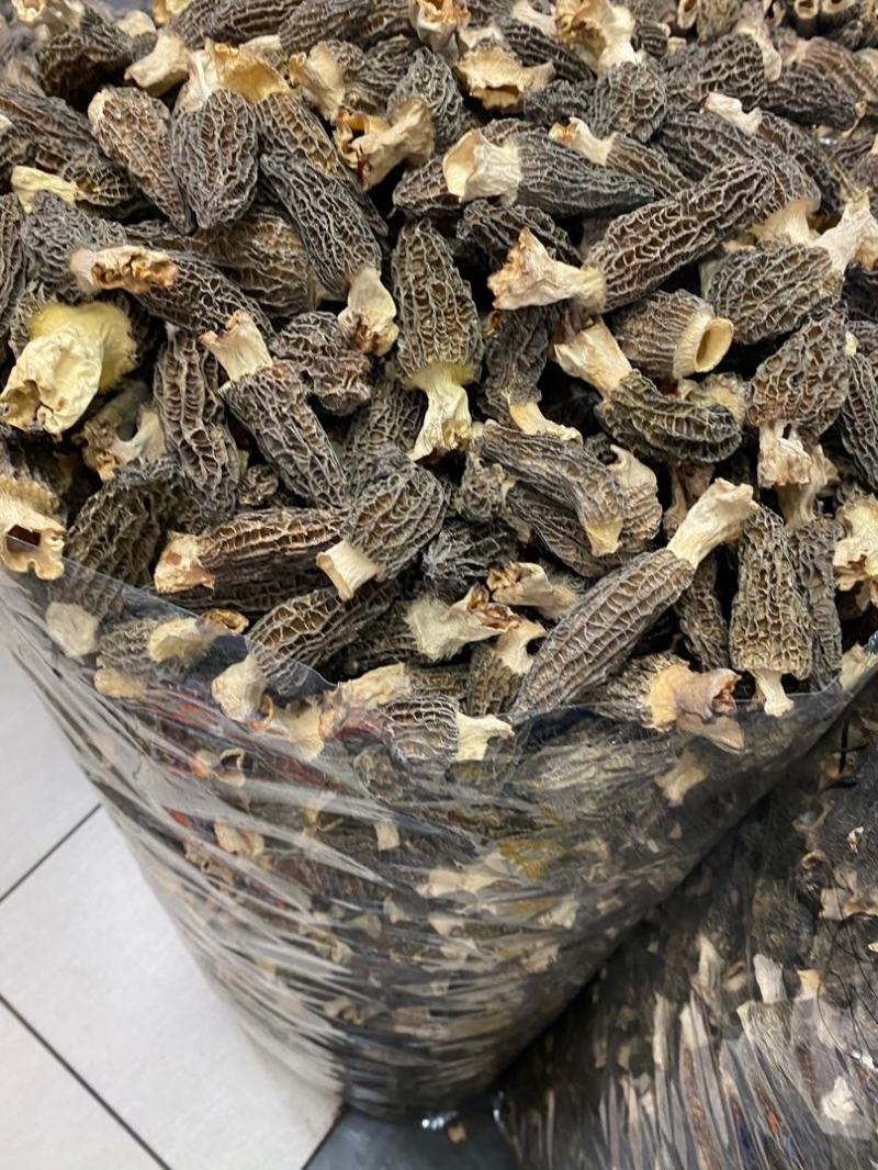 大量羊肚菌干货6~8新鲜漂亮羊肚菌味道香个头均匀一件代发