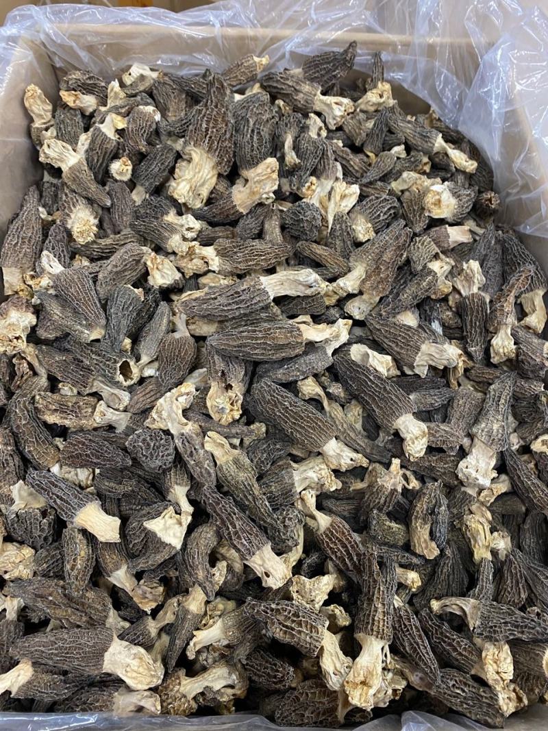 大量羊肚菌干货6~8新鲜漂亮羊肚菌味道香个头均匀一件代发
