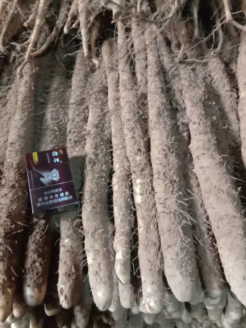 我处大量小白嘴山药上市了，有大货二货曲扁短节，电商代发