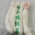 鲜货鸡腿菇！有机载培营养更高