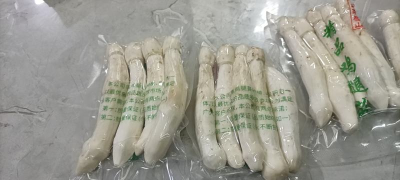 鲜货鸡腿菇！有机载培营养更高