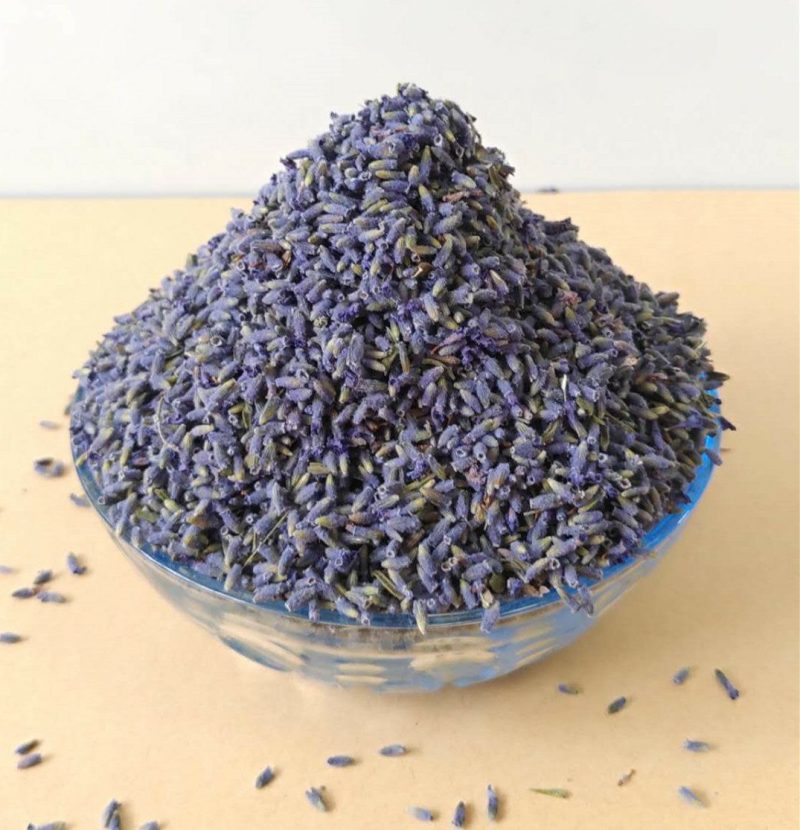 薰衣草散装干花粒薰衣草茶药用薰衣草优质花粒批发