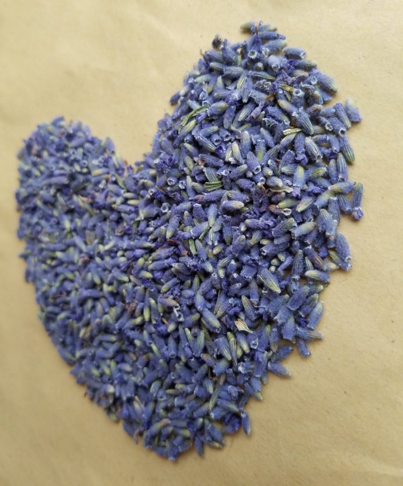 薰衣草散装干花粒薰衣草茶药用薰衣草优质花粒批发