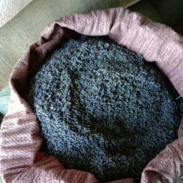 薰衣草散装干花粒薰衣草茶药用薰衣草优质花粒批发