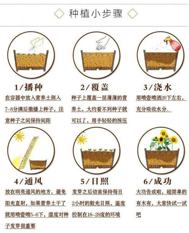 栀子花种球四季种易活多年生开花植物盆栽室内庭院阳台花卉种