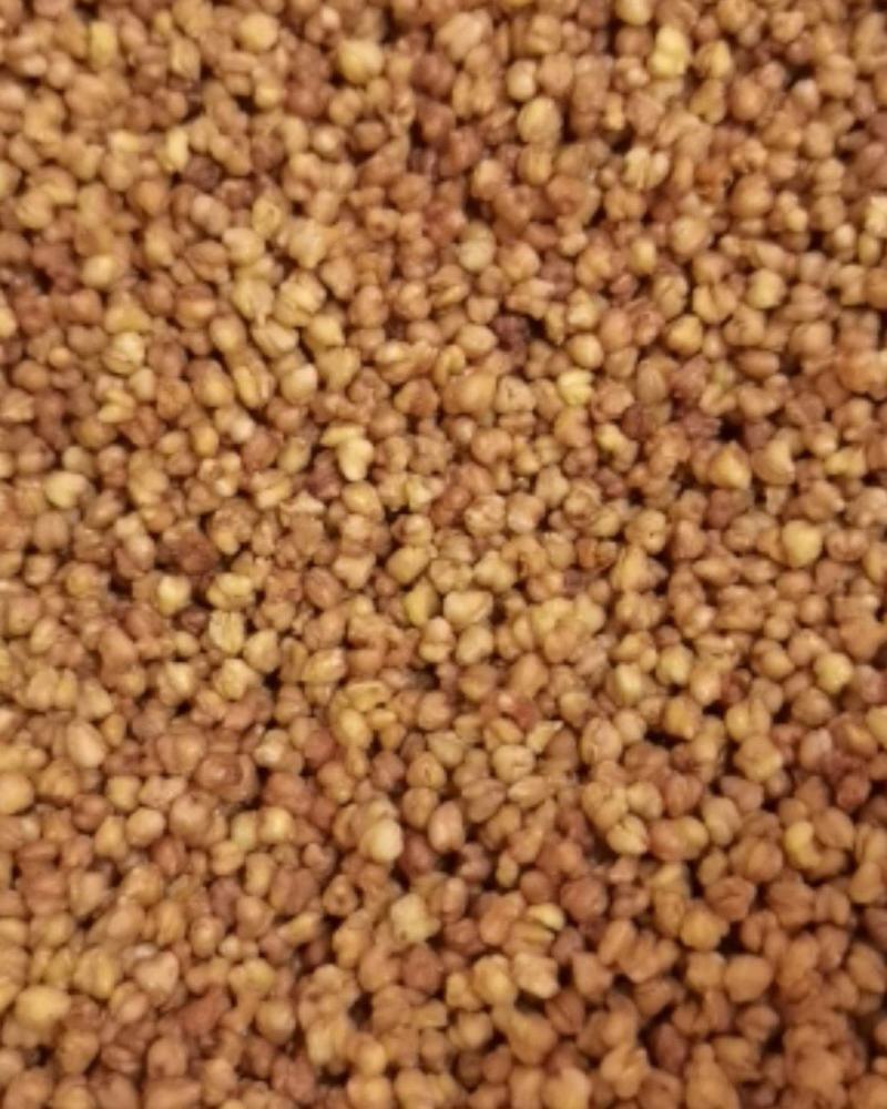 云南高原苦荞炒制的苦荞茶，气味芬芳，经久乃泡，养生必备，