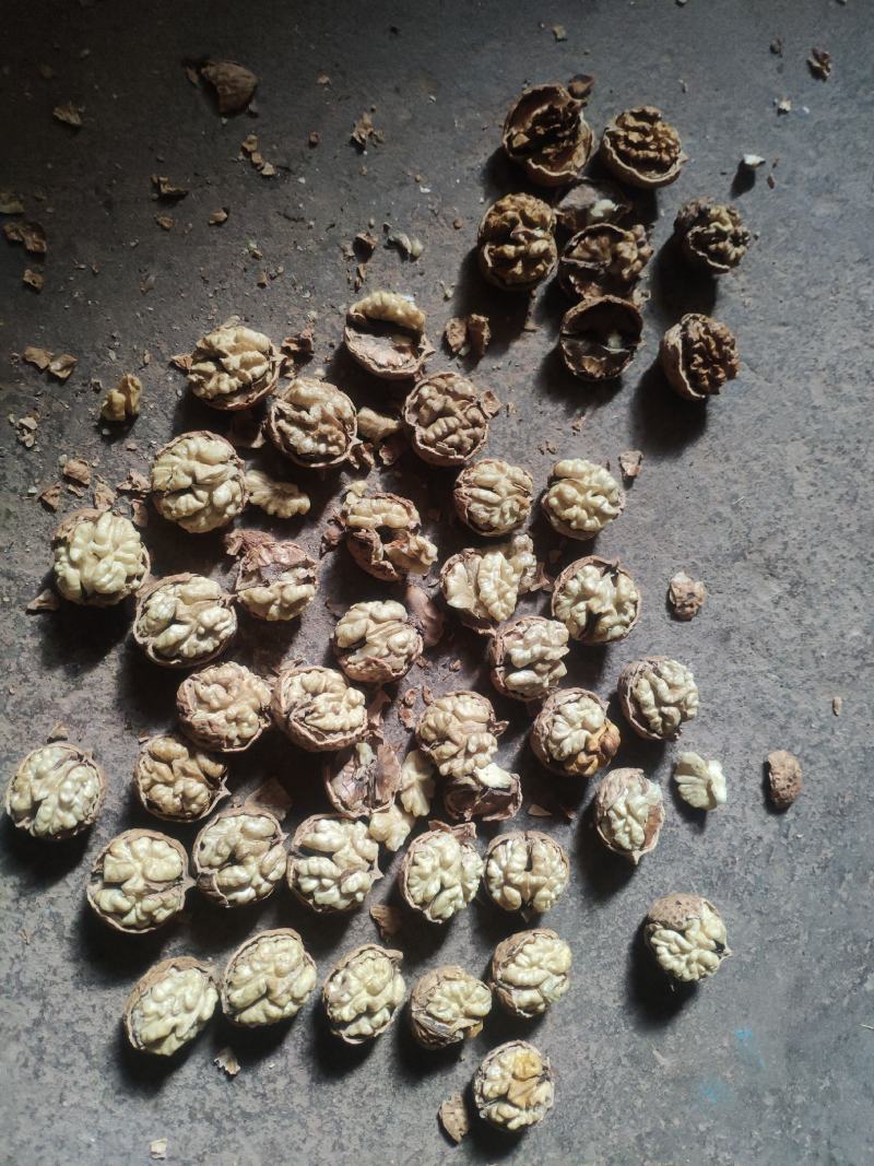 2020年新货云南薄皮泡核桃皮白仁白饱满