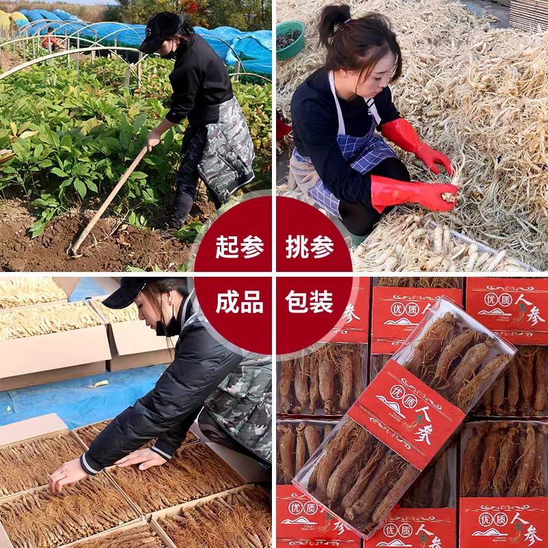 【自家种植，信誉保障】长白山无须即食小红参条包邮