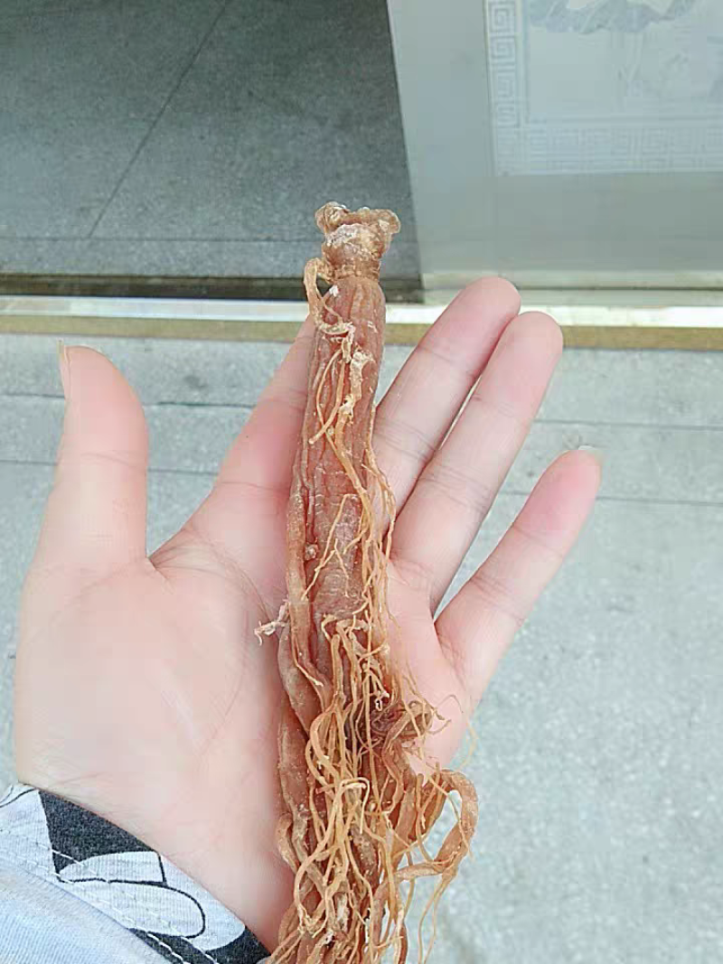 【自家种植，信誉保障】长白山无须即食小红参条包邮