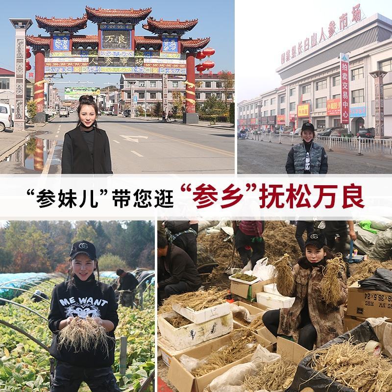 【自家种植，信誉保障】长白山无须即食小红参条包邮