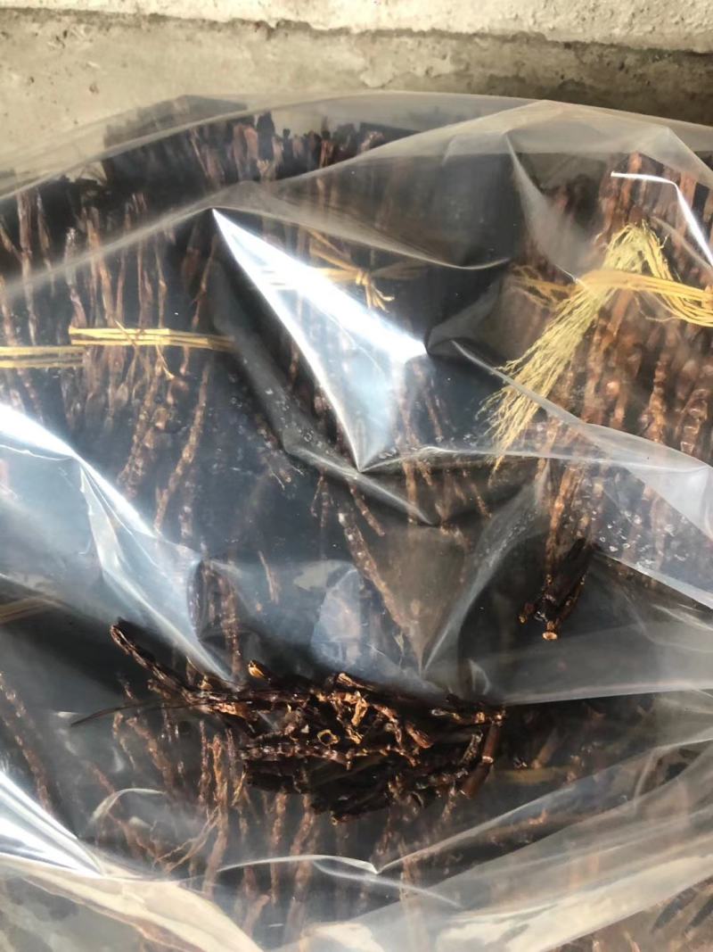 八月竹笋优质干货大量出售