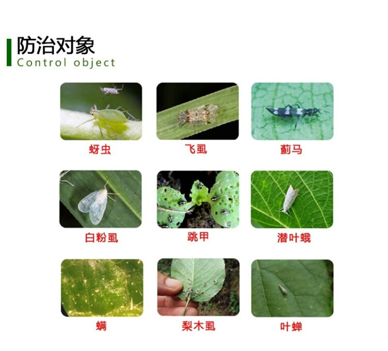 沪联捕网5%啶虫脒柑橘树蚜虫农药杀虫剂